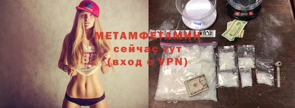 гидра Няндома