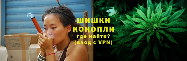 шишки Нягань