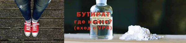 гидра Няндома