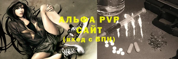 гидра Няндома