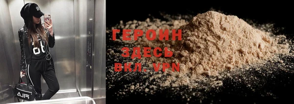 гидра Няндома