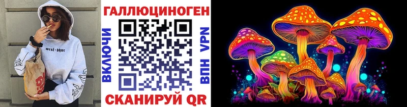 Псилоцибиновые грибы Psilocybe  купить закладку  Подпорожье 